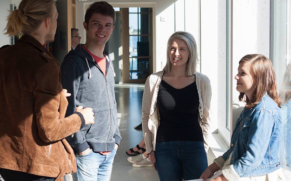 Gruppdynamik och mobbning