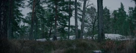 793610027-cameraRoll