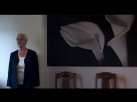 Jag leder en presskonferens, som ”Tarras Wahlberg”
